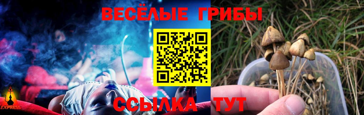 Галлюциногенные грибы MAGIC MUSHROOMS Нерюнгри