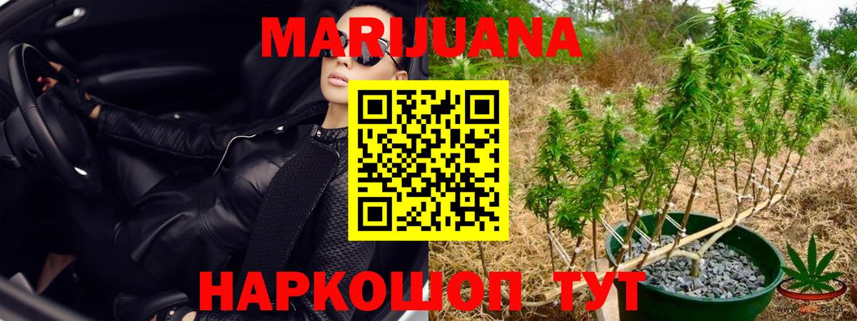 Бошки марихуана Amnesia Нерюнгри